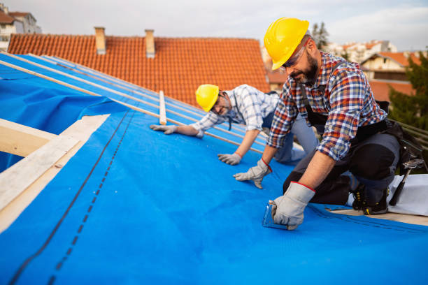 Professional Roofing Contractor in Lemon Hill, CA